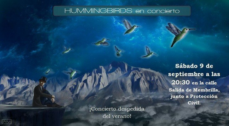 cartel hummingbirds (Copiar)