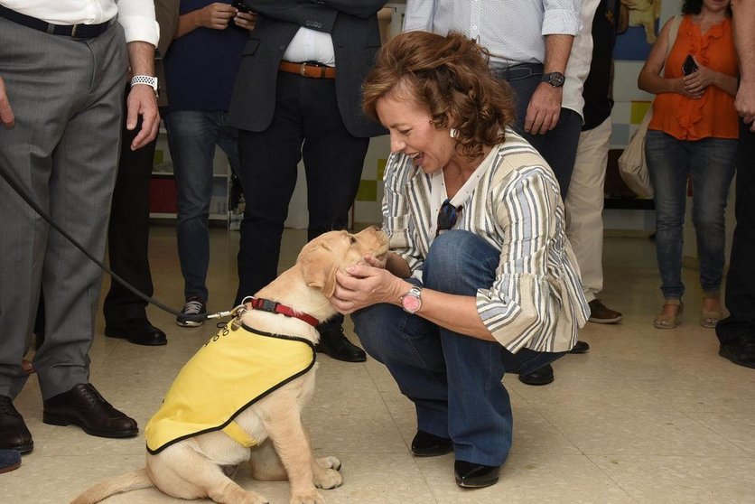 Aurelia Sánchez con perro de asistencia