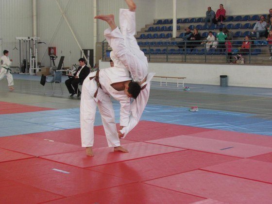 judo manz (Copiar)