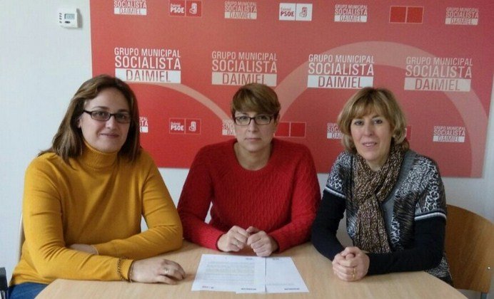 GRUPO MUNICIPAL DEL PSOE DE DAIMIEL (Copiar)