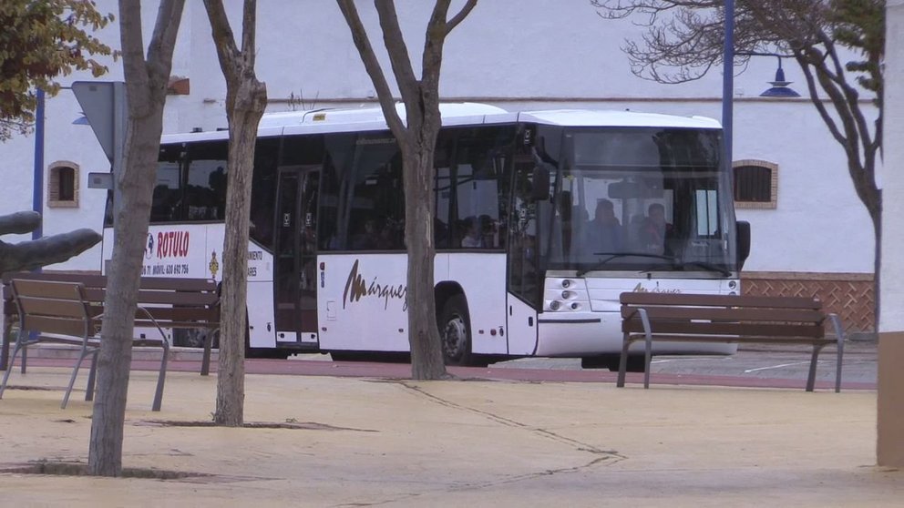 Bus escolar urbano