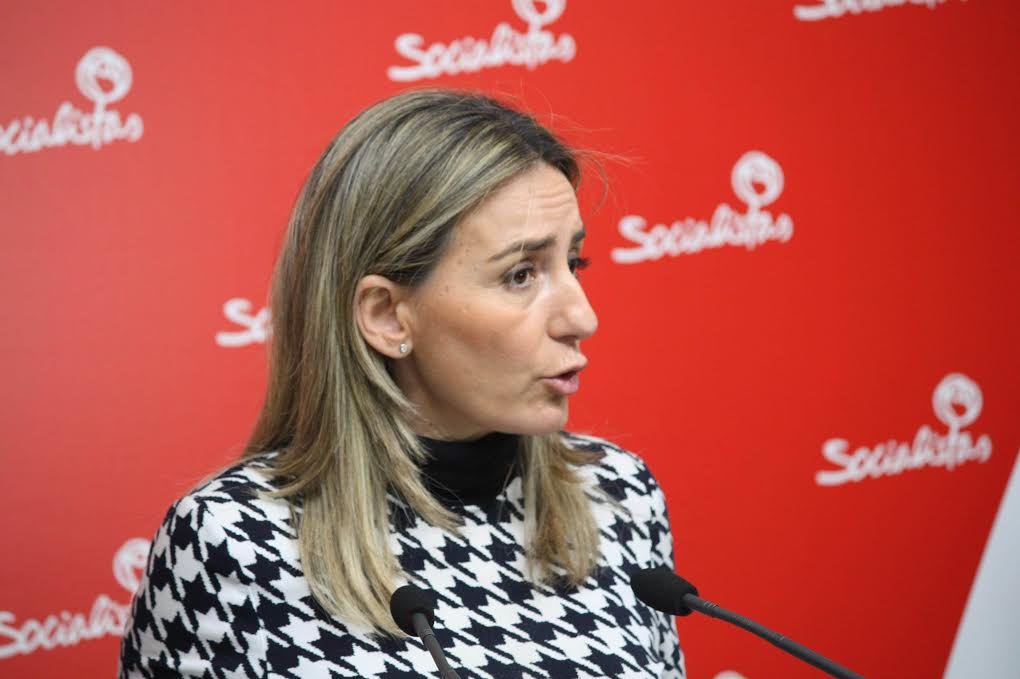 100315 RG-PSOE