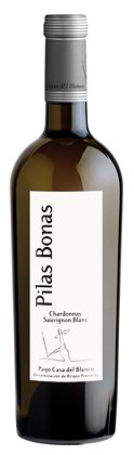 BOTELLAPILASBONAS (Copiar)