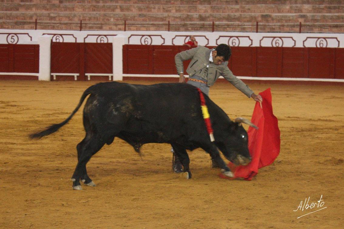 toros 5