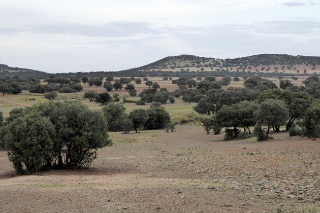 Zona afectada por los proyectos de minería de tierras raras (Copiar)