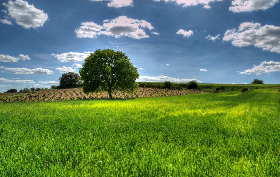 Campo de Montiel