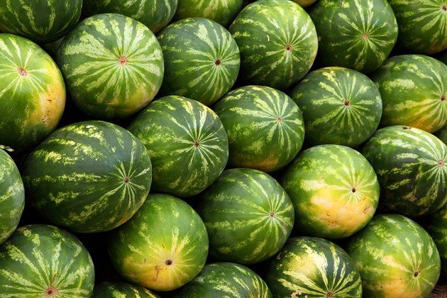 melones (Copiar)