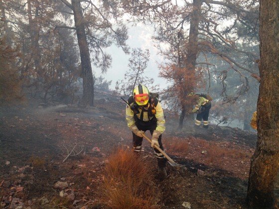 IncendioYeste (Copiar)