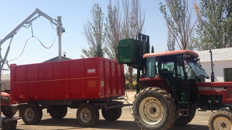 Tractor descargando uva en la Cooperativa Vinícola de Valdepeñas