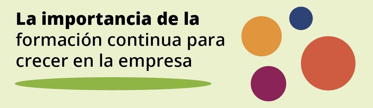 Formación continua