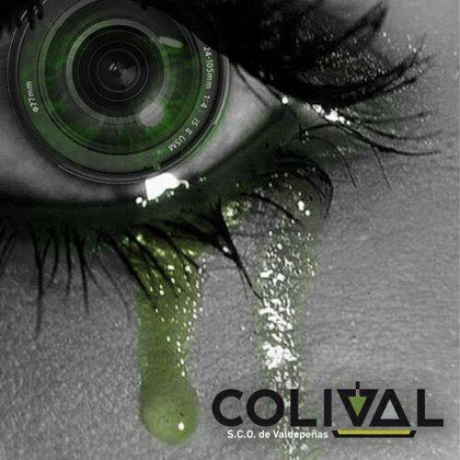 Concurso de Fotografía de COLIVAL