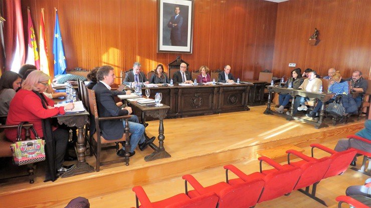 PLENO MANZANARES DICIEMBRE (Copiar)