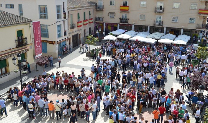calzada caras (Copiar)