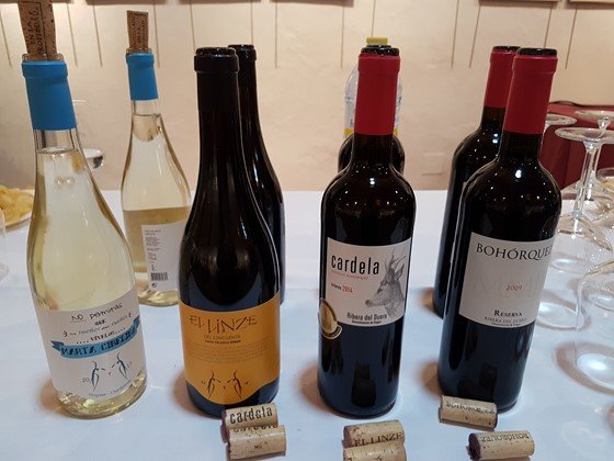 Cata de vinos Jóvenes Amigos del Vino de Valdepeñas. 11 Ánforas Cata de vinos Jóvenes Amigos del Vino de Valdepeñas. 11 Ánforas