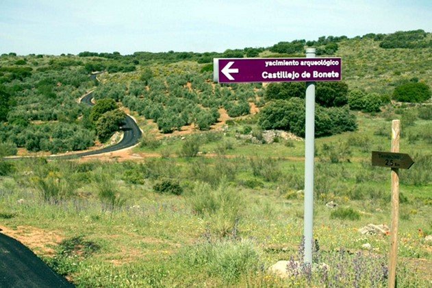 Castillejo del Bonete. Yacimiento visitable en Terrinches (Ciudad Real)) Castillejo del Bonete. Yacimiento visitable en Terrinches (Ciudad Real))