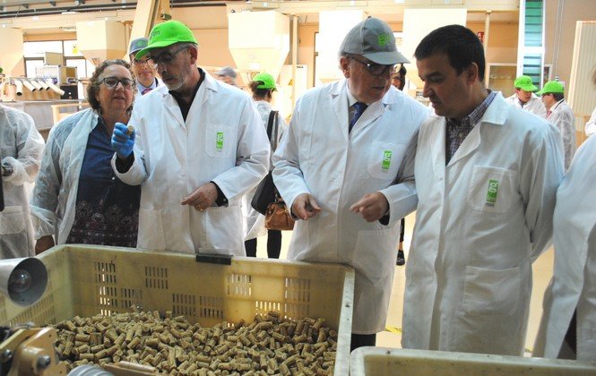 VISITA GRUART (Copiar)