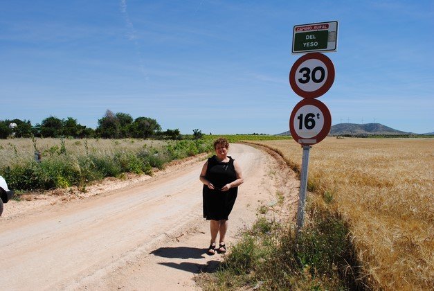 ARREGLO CAMINOS (Copiar)