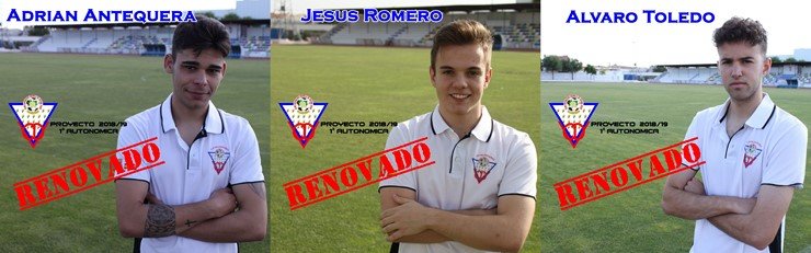 Renovaciones 3 (Copiar)