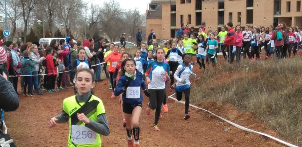 Final Provincial de Campo a Través en Valdepeñas Final Provincial de Campo a Través en Valdepeñas