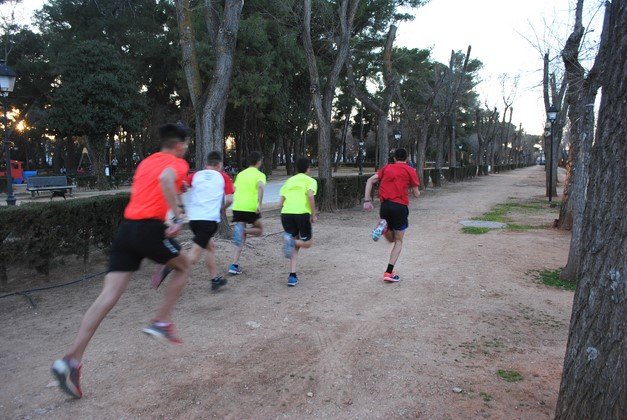 PARQUE CERVANTES (Copiar)