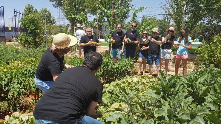 Duelos y Quebrantos en la huerta valdepeñera Duelos y Quebrantos en la huerta valdepeñera