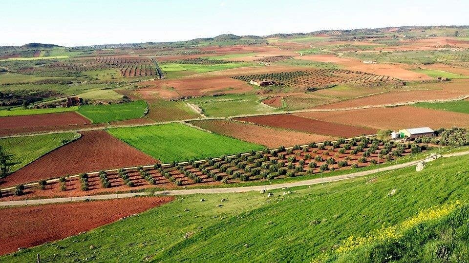 Campo de Montiel 2