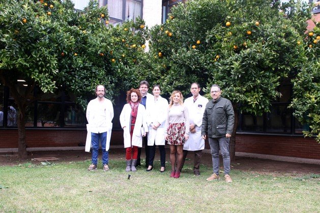 F1 Hospital Verde (Copiar)