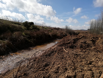 Destrucción de la orilla