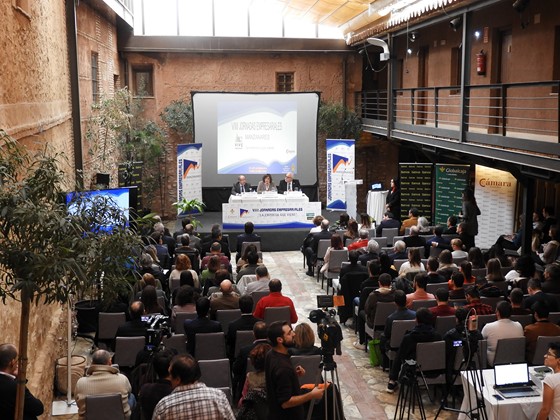 Imagen de archivo de Jornadas Empresariales en Manzanares Imagen de archivo de Jornadas Empresariales en Manzanares