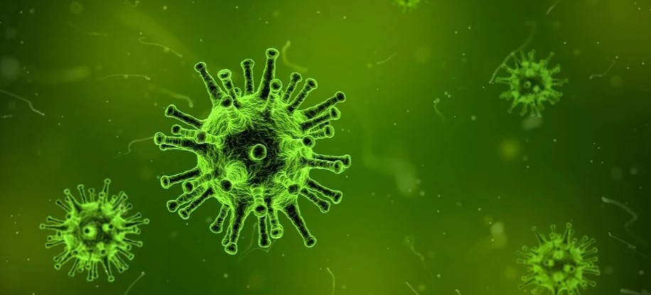 coronavirus