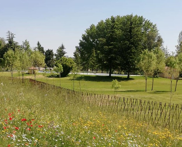 Jardín
