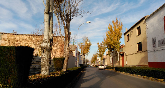 CALLETORRECILLA