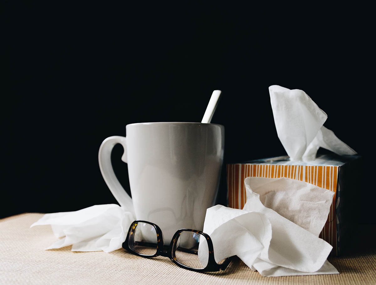 Alimentos para prevenir la gripe y los resfriados durante todo el año